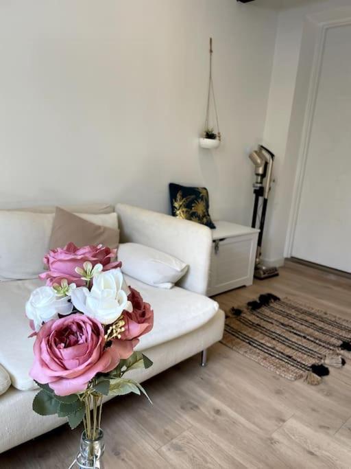 Villa Gaby~ 2 Pers ~ Hypercentre Pau Bagian luar foto